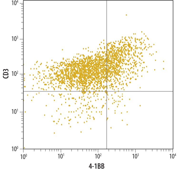 Detection of 4-1BB/TNFRSF9/CD137 antibody in PHA-treated Human T Cells antibody by Flow Cytometry.