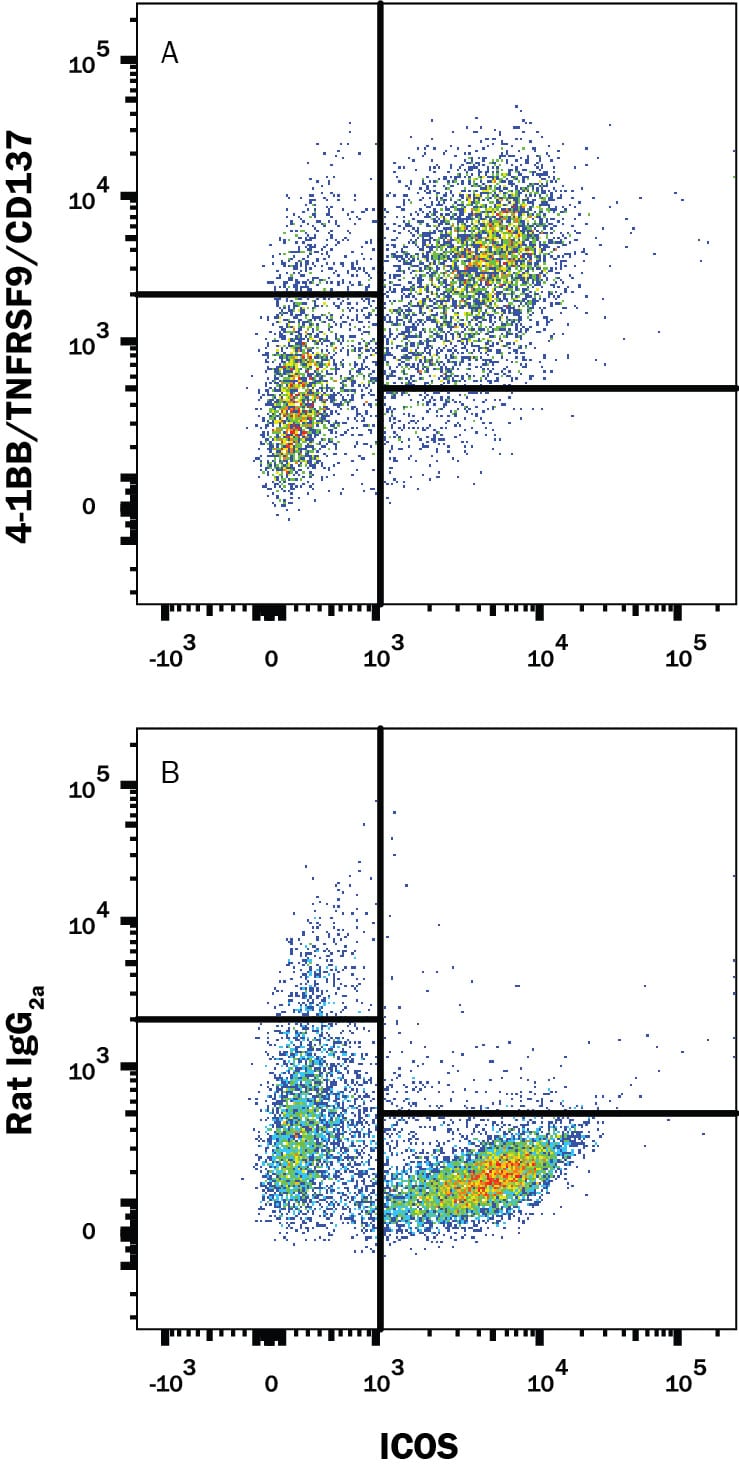 Detection of 4-1BB/TNFRSF9/CD137 antibody in Activated Mouse Splenocytes antibody by Flow Cytometry.