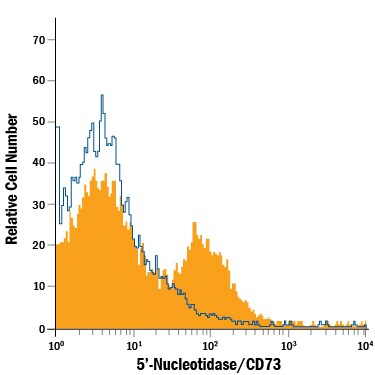 Detection of 5'‑Nucleotidase/CD73 antibody in Equine PBMCs antibody by Flow Cytometry.