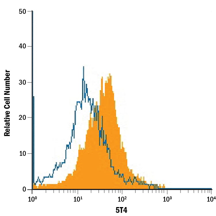 Detection of 5T4 antibody in D3 Mouse Cell Line antibody by Flow Cytometry.