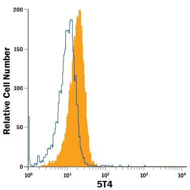 Detection of 5T4 antibody in D3 Mouse Cell Line antibody by Flow Cytometry.