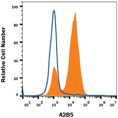 Detection of A2B5 antibody in RAW 264.7 Mouse Cell Line antibody by Flow Cytometry.