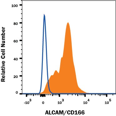 Detection of ALCAM/CD166 antibody in Human Blood Lymphocytes antibody by Flow Cytometry.