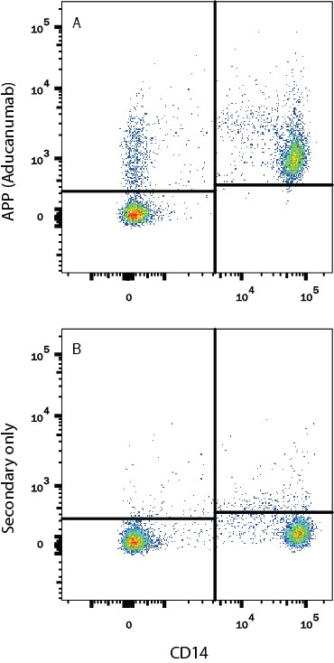 Detection of APP/Protease Nexin II (Aducanumab) antibody in Human PBMC antibody by Flow Cytometry