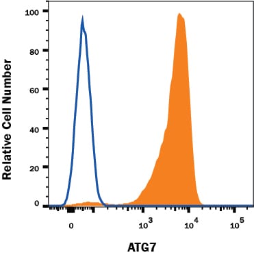 Detection of ATG7 antibody in HeLa Human Cell Line antibody by Flow Cytometry.