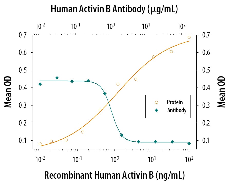 Hemoglobin Expression Induced by Activin B and Neutralization by Human Activin B Antibody.