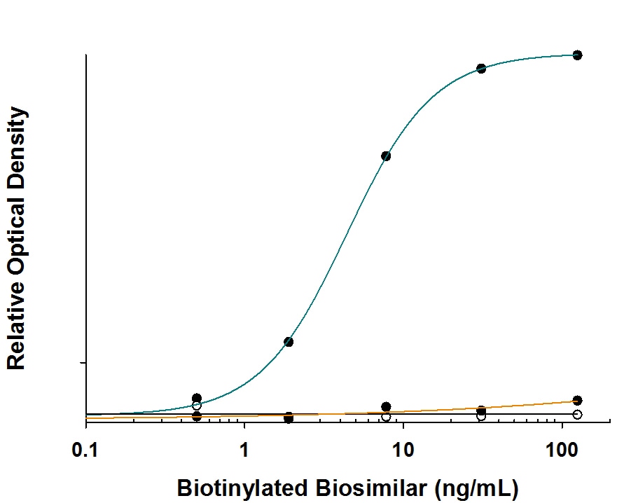 Specificity of Anti-Adalimumab (Anti-Idiotype) Antibody in Antibody in ELISA Capture Assay.