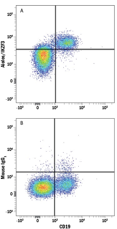 Detection of Aiolos/IKZF3 antibody in Human PBMCs antibody by Flow Cytometry.