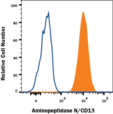 Detection of Aminopeptidase N/CD13 antibody in U937 Human Cell Line antibody by Flow Cytometry.