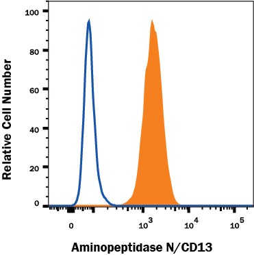 Detection of Aminopeptidase N/CD13 antibody in U937 human cell line antibody by Flow Cytometry.