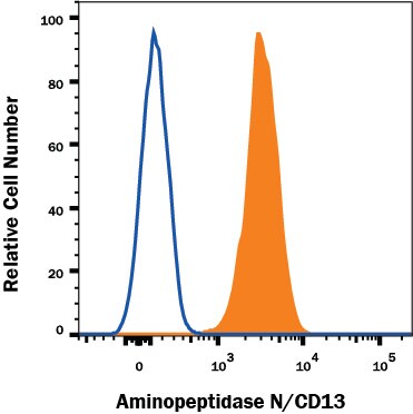 Detection of Aminopeptidase N/CD13 antibody in U937 human cell line antibody by Flow Cytometry.