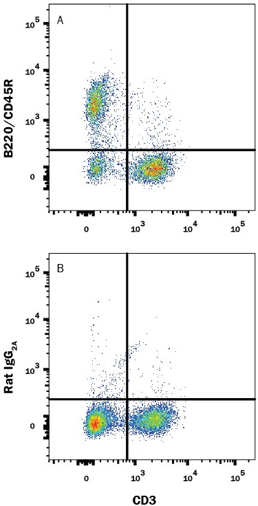 Detection of B220/CD45R antibody in Mouse Splenocytes antibody by Flow Cytometry.