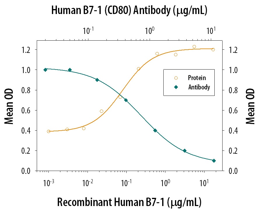 IL‑2 secretion Induced by B7‑1/CD80 and Neutralization by Human B7‑1/CD80 Antibody.