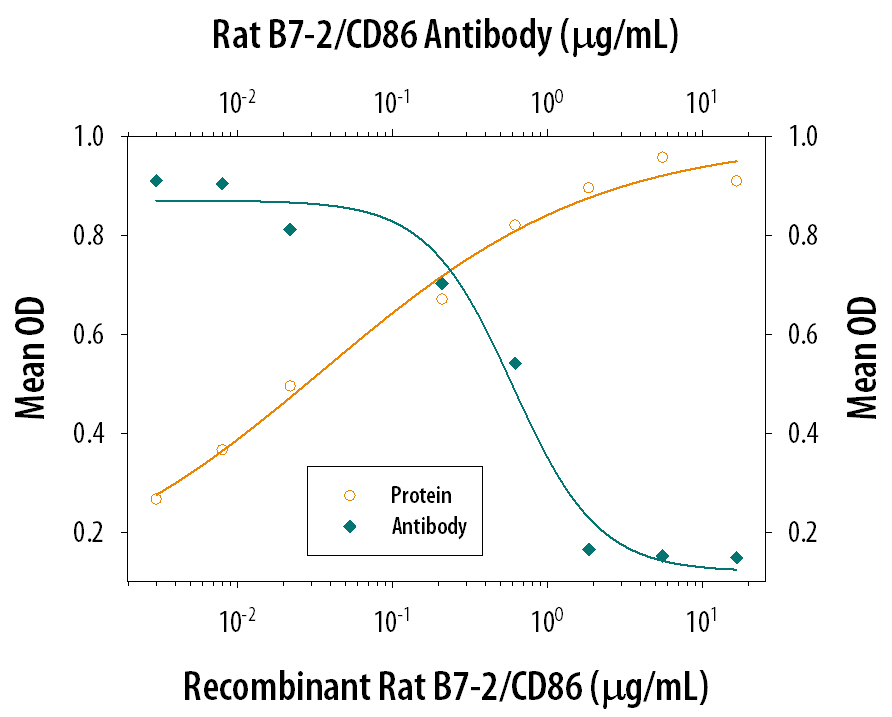 IL‑2 Secretion Induced by B7‑2/CD86 and Neutralization by Rat B7‑2/CD86 Antibody.