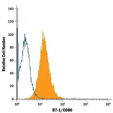 Detection of B7‑1/CD80 antibody in Raji Human Cell Line antibody by Flow Cytometry.