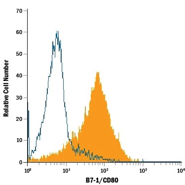 Detection of B7‑1/CD80 antibody in Raji Human Burkitt's Cell Line antibody by Flow Cytometry.