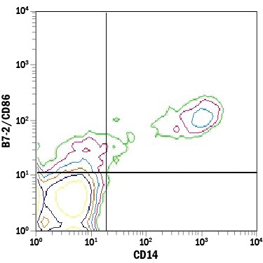 Detection of B7‑2/CD86 antibody in Human PBMCs antibody by Flow Cytometry.