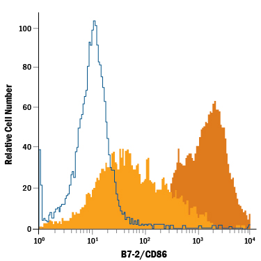 Detection of B7‑2/CD86 antibody in Mouse Splenocytes antibody by Flow Cytometry.