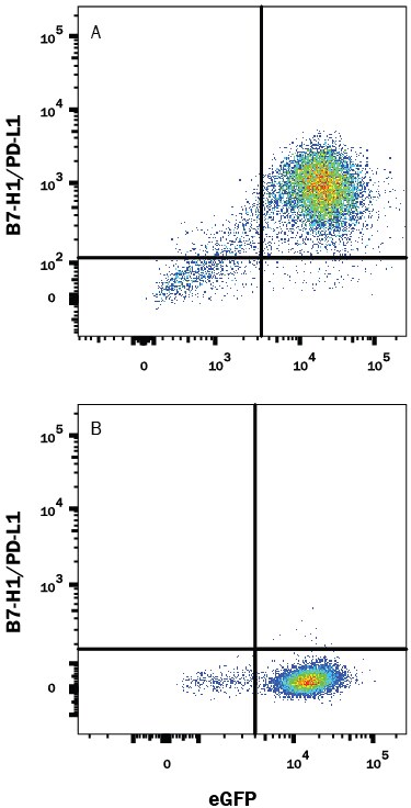 Detection of PD-L1/B7-H1 antibody in HEK293 Human Cell Line Transfected with Mouse PD-L1/B7-H1 and eGFP antibody by Flow Cytometry.