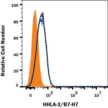 TMIGD2/CD28H Binding to B7-H7/HHLA2-transfected HEK293 Human Cell Line is Blocked by Human B7-H7/HHLA2 Antibody.