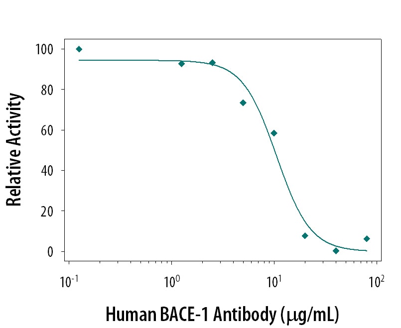 Neutralization of BACE‑1 Activity by Human/Mouse BACE‑1 Antibody.