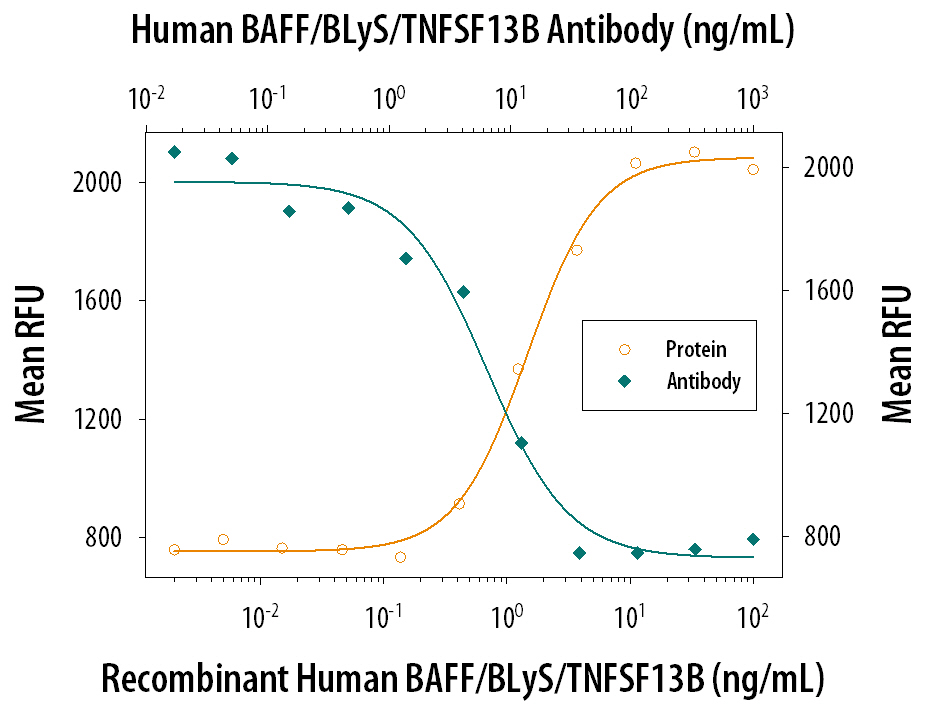 Cell Proliferation Induced By BAFF/BLyS/TNFSF13B and Neutralization by Human BAFF/BLyS/TNFSF13B Antibody.