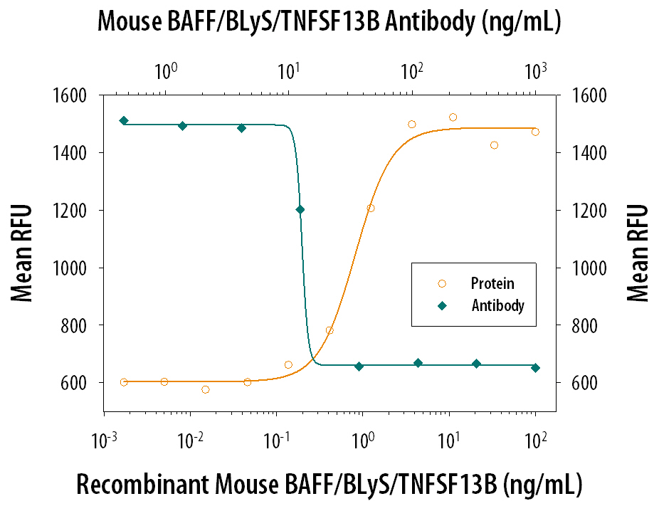 Cell Proliferation Induced by BAFF/BLyS/TNFSF13B and Neutralization by Mouse BAFF/BLyS/TNFSF13B Antibody.