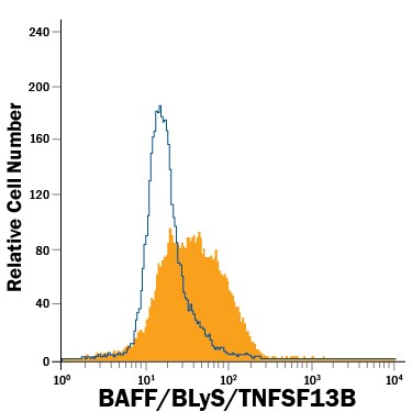 Detection of BAFF/BLyS/TNFSF13B antibody in Human PBMCs antibody by Flow Cytometry.