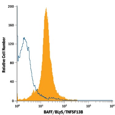 Detection of BAFF/BLyS/TNFSF13B antibody in Mouse Splenocytes antibody by Flow Cytometry.