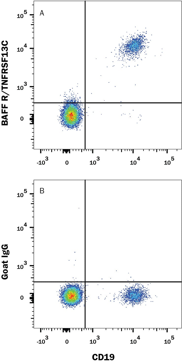 Detection of BAFF R/TNFRSF13C antibody in Human PBMCs antibody by Flow Cytometry.