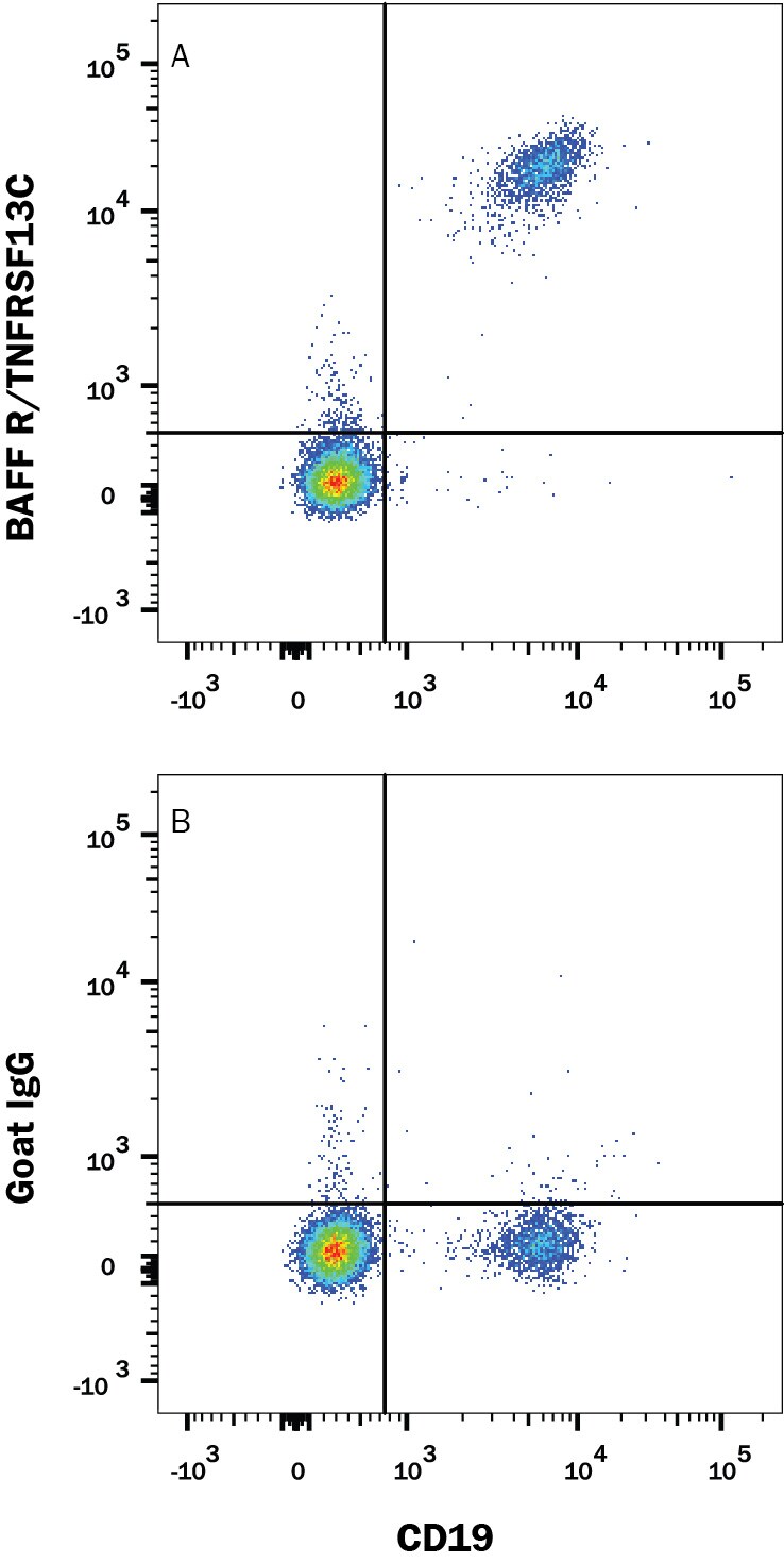 Detection of BAFF R/TNFRSF13C antibody in Human PBMCs antibody by Flow Cytometry.