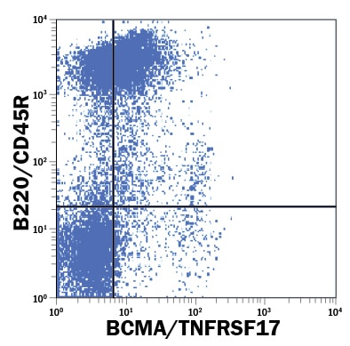 Detection of BCMA/TNFRSF17 antibody in Mouse Splenocytes antibody by Flow Cytometry.