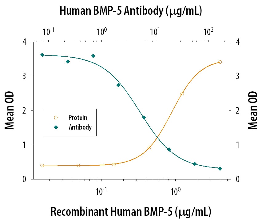 Alkaline Phosphatase Production Induced by BMP‑5 and Neutral-ization by Human BMP‑5 Antibody.
