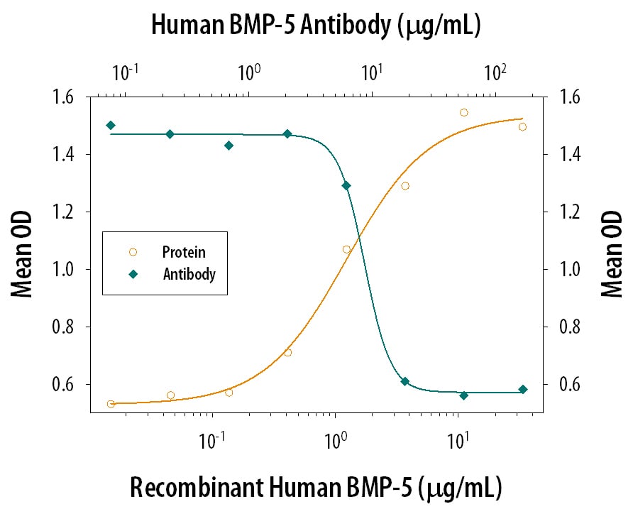 Alkaline Phosphatase Production Induced by BMP‑5 and Neutralization by Human BMP‑5 Antibody.