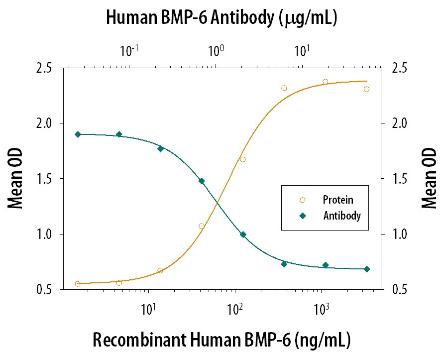Alkaline Phosphatase Production Induced by BMP‑6 and Neutralization by Human BMP‑6 Antibody.