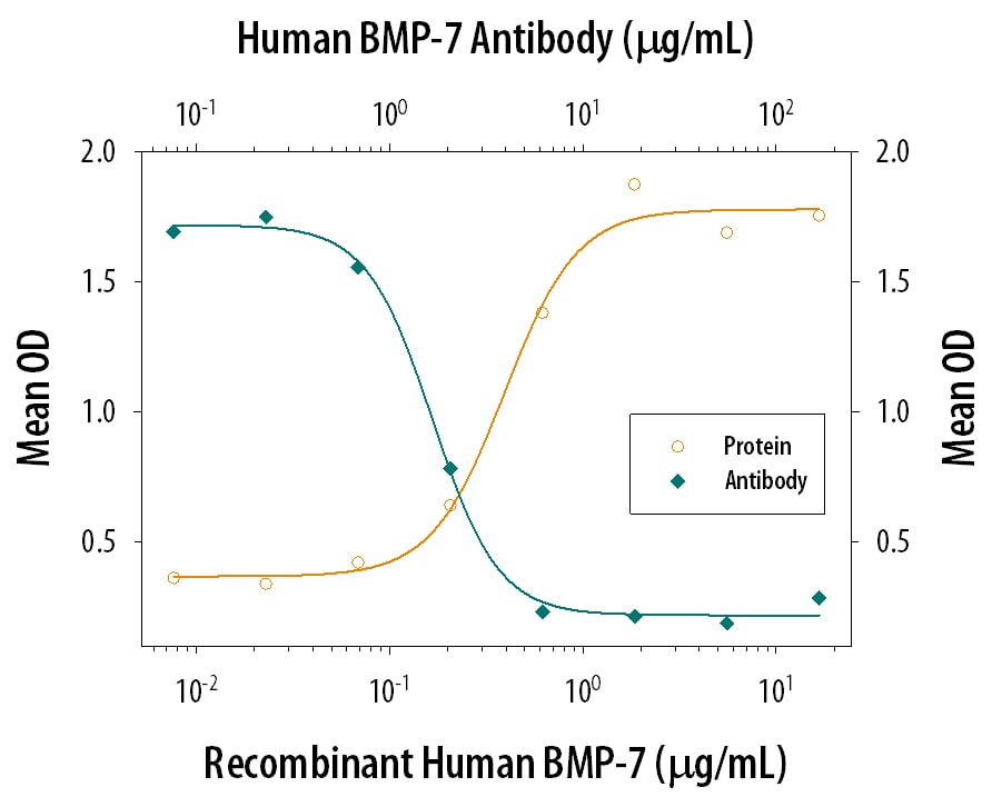 Alkaline Phosphatase Production Induced by BMP‑7 and Neutralization by Human BMP‑7 Antibody.