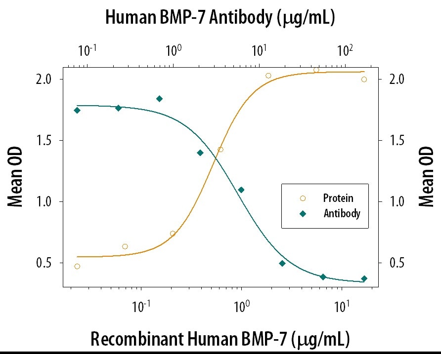 Alkaline Phosphatase Production Induced by BMP‑7 and Neutralization by Human BMP‑7 Antibody.