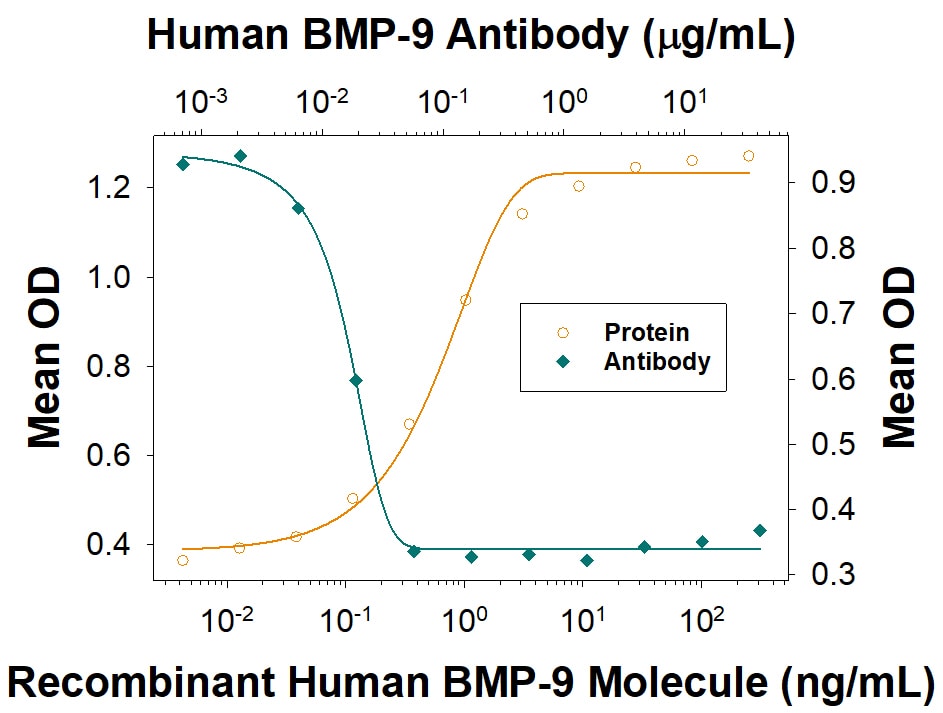 Alkaline Phosphatase Production Induced by BMP‑9 and Neutralization by Human BMP‑9 Antibody.