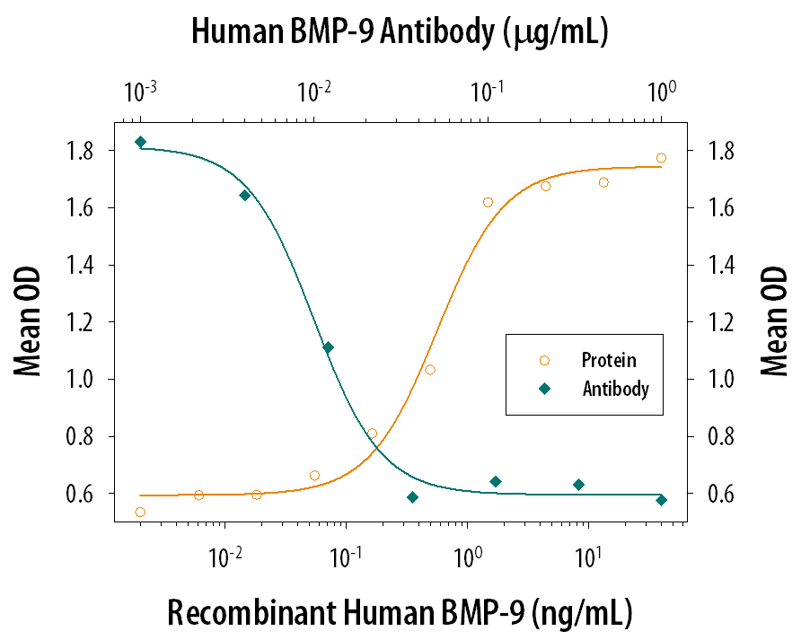 Alkaline Phosphatase Production Induced by BMP‑9 and Neutralization by Human BMP‑9 Antibody.