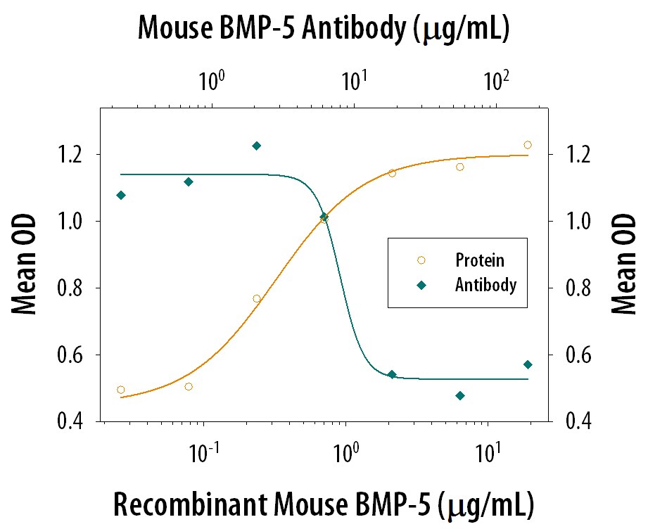 Alkaline Phosphatase Production Induced by BMP‑5 and Neutrali-zation by Mouse BMP‑5 Antibody.