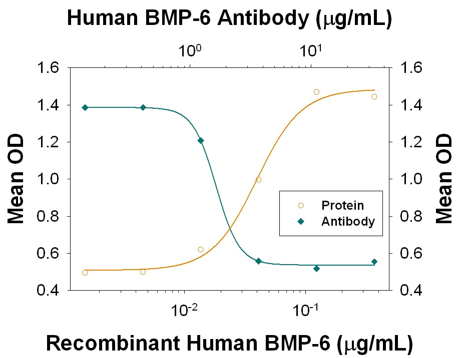 Alkaline Phosphatase Production Induced by BMP‑6 and Neutralization by Human BMP‑6 Antibody.