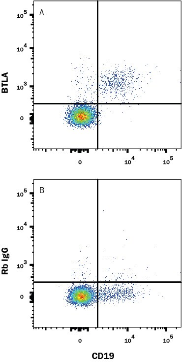 Detection of BTLA antibody in Human PBMC antibody by Flow Cytometry.