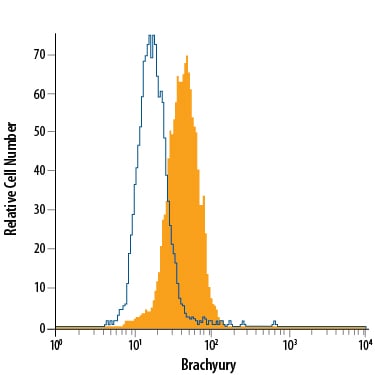 Detection of Brachyury antibody in D3 Mouse Cell Line antibody by Flow Cytometry.
