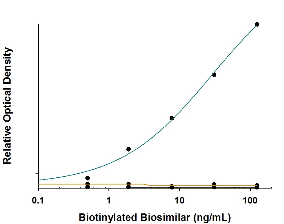 Specificity of Anti-Brentuximab (Anti-Idiotype) Antibody in Antibody in ELISA Capture Assay.