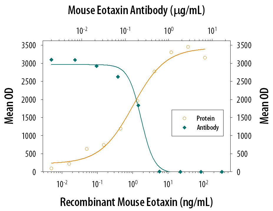 Chemotaxis Induced by CCL11/Eotaxin and Neutral-ization by Mouse CCL11/ Eotaxin Antibody.