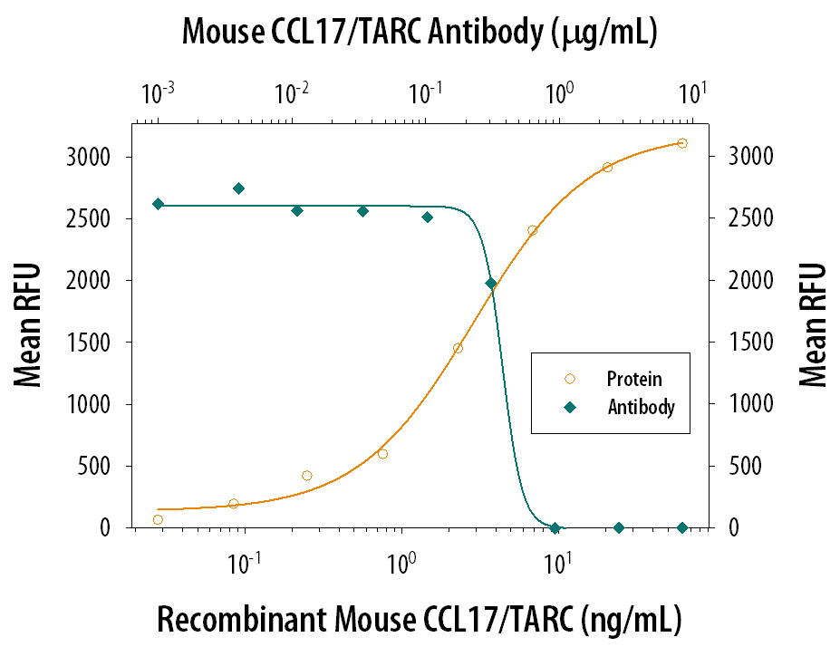 Chemotaxis Induced by CCL17/TARC and Neutralization by Mouse CCL17/TARC Antibody.