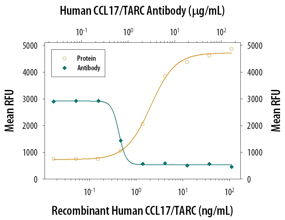 Chemotaxis Induced by CCL17/TARC and Neutralization by Human CCL17/TARC Antibody.