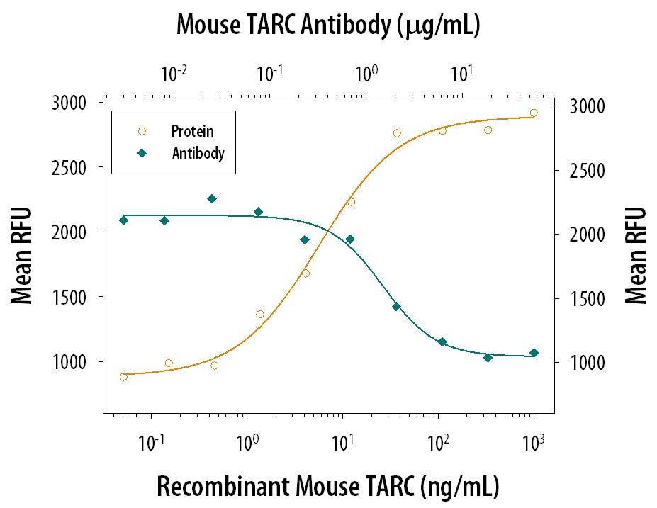 Chemotaxis Induced by CCL17/TARC and Neutralization by Mouse CCL17/TARC Antibody.