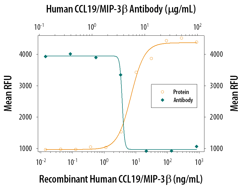 Chemotaxis Induced by CCL19/MIP‑3 beta  and Neutrali-zation by Human CCL19/MIP‑3 beta  Antibody.