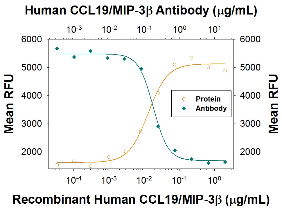 Chemotaxis Induced by CCL19/MIP-3 beta  and Neutrali-zation by Human CCL19/MIP-3 beta  Antibody.